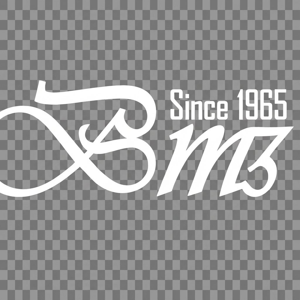 BMZ Logo